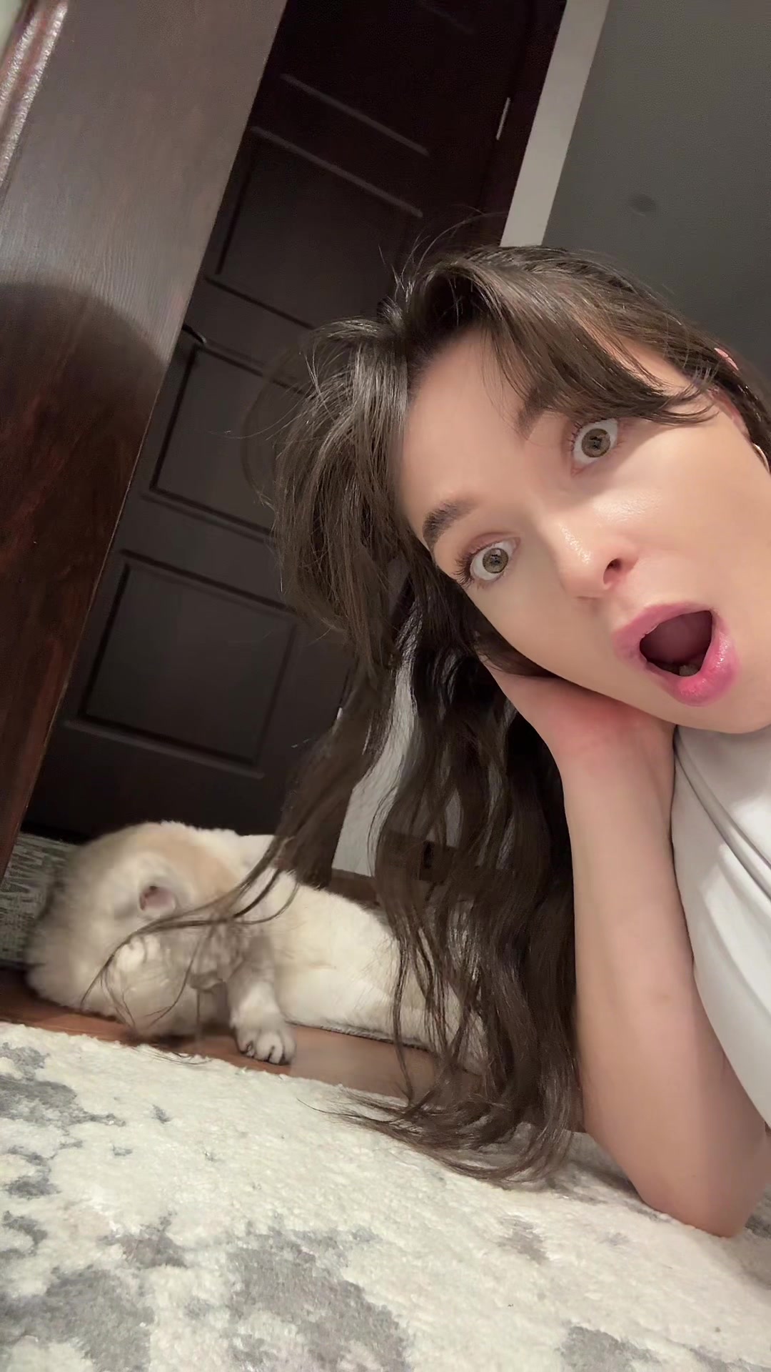 Pet Reactions