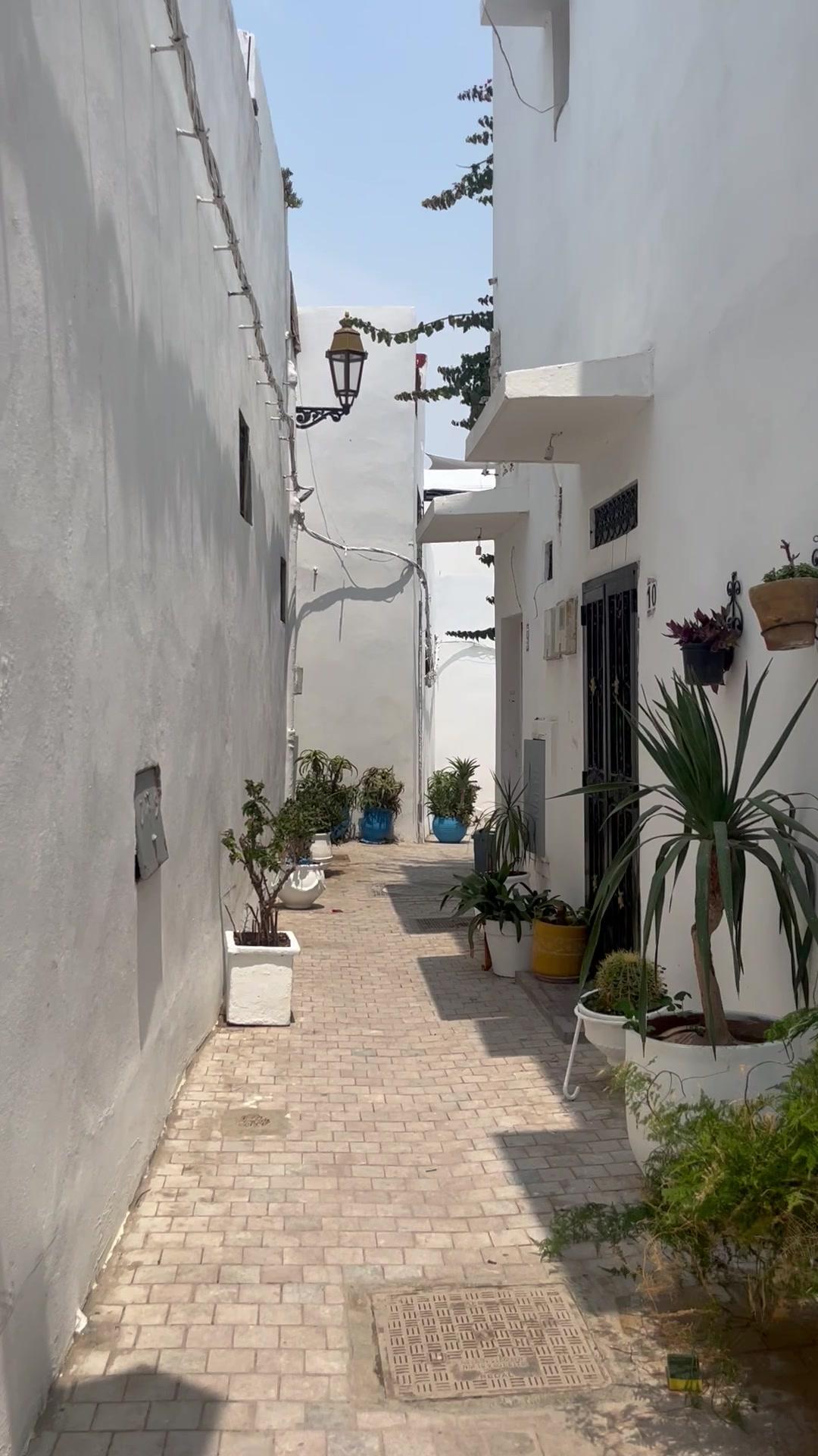 Walking Down a Sunny Whitewashed Alley